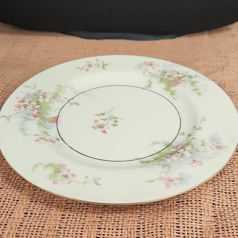 Theodore Haviland Apple Blossom Floral Salad Plate 8"